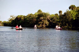 Canoeing the South Prong