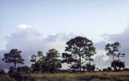 St. Sebastian River Buffer Preserve State Park