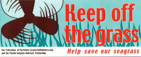Help save our seagrasses