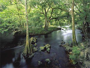 Hillsborough River