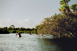 Leisurely paddling the South Prong